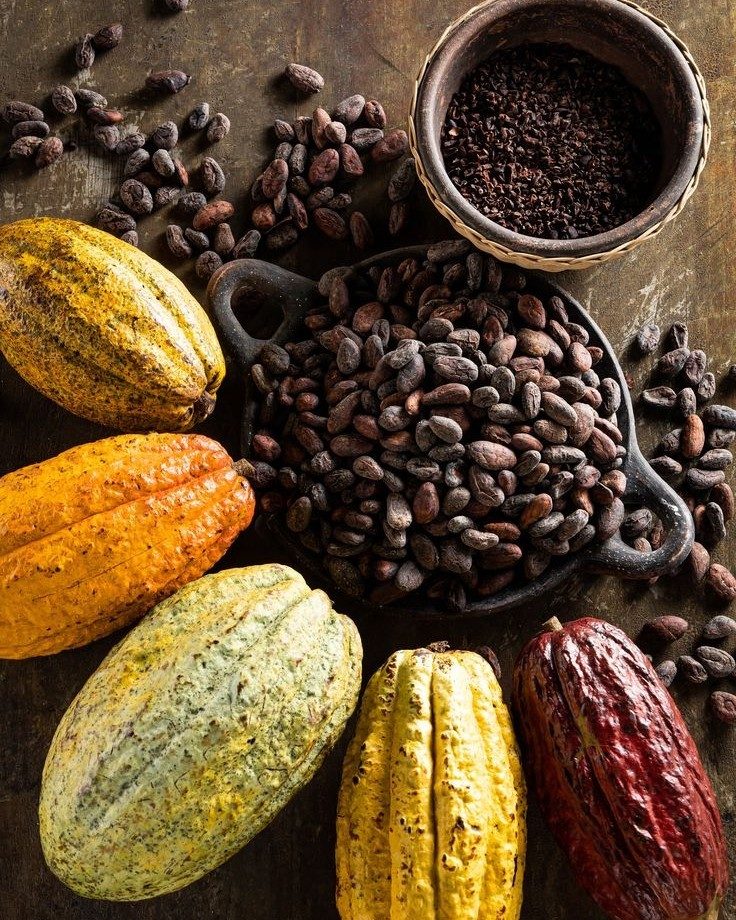 Cacao pods and cocoa beans